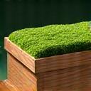 Eco vriendelijke uitvaartkist